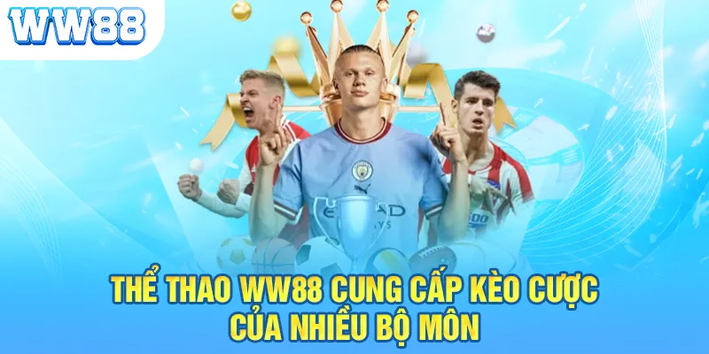 Thể thao WW88 cung cấp kèo cược của nhiều bộ môn