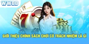 Giới thiệu chính sách chơi có trách nhiệm là gì